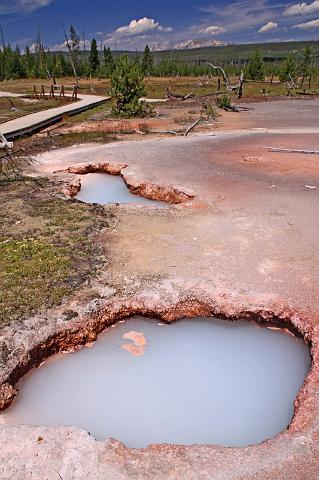 070 yellowstone, upper geyser biscuit basin.JPG